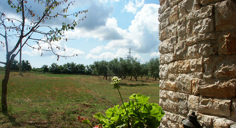 Landschaft von Vodnjan